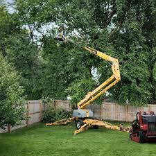 Best Lot and Land Clearing  in Edina, MN